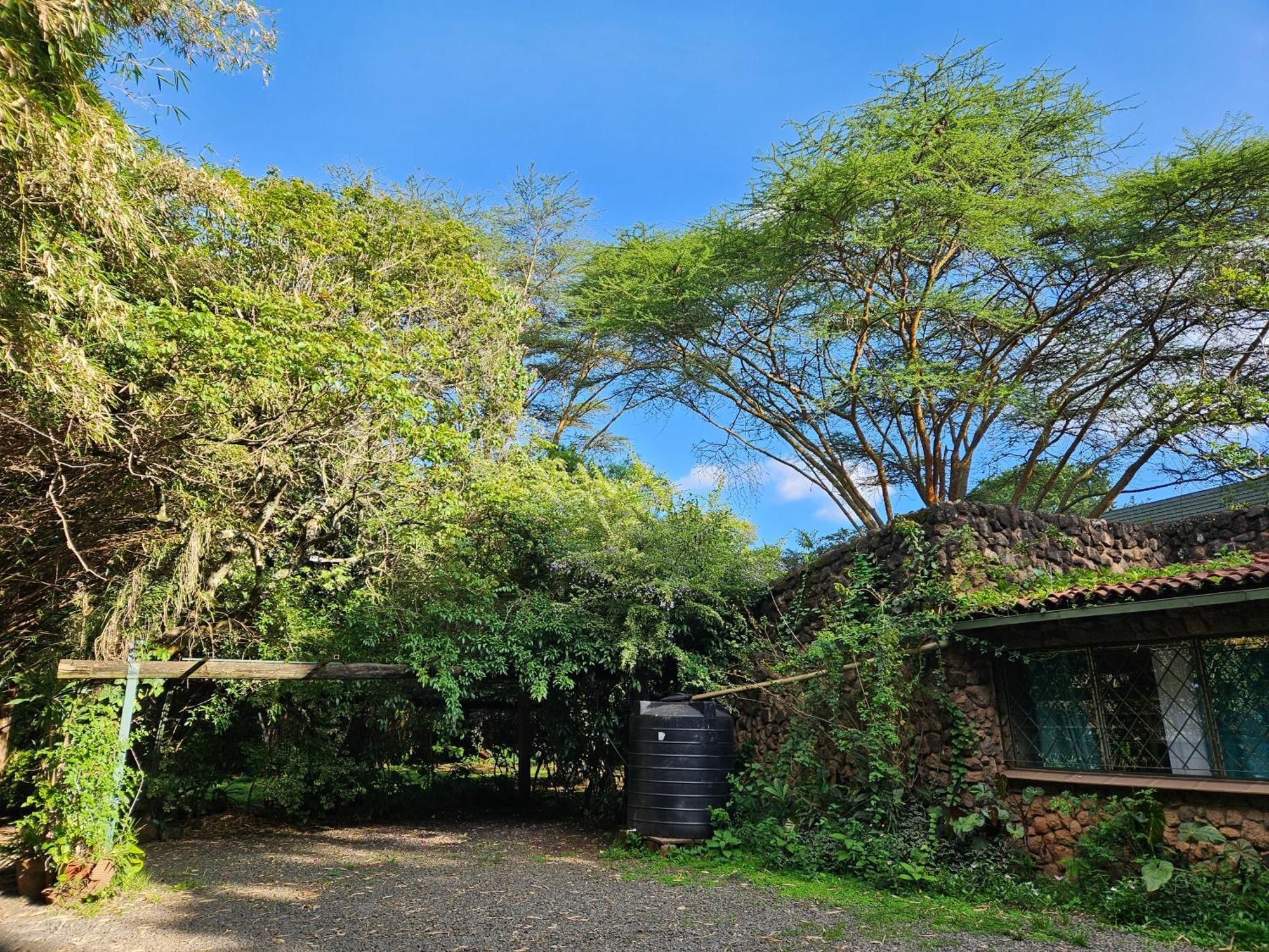Mad Vervet Nairobi Backpackers Hostel Екстер'єр фото